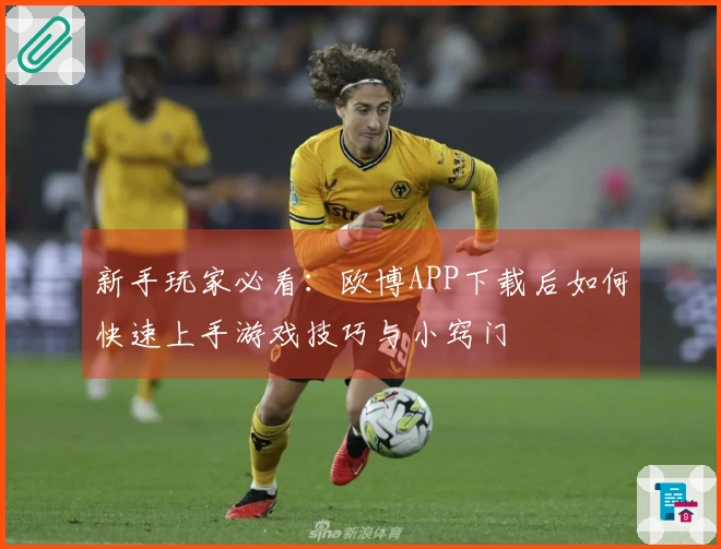 新手玩家必看：欧博APP下载后如何快速上手游戏技巧与小窍门