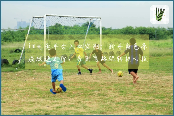 im电竞平台入口实测：新手角色养成极速进阶，告别弯路玩转核心技巧